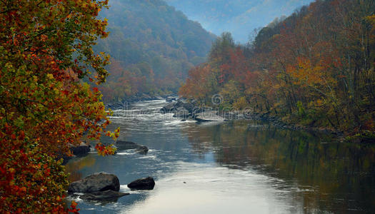 山中的河流