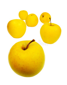 黄苹果，隔离
