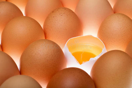 鸡蛋背景