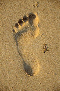 沙滩上的脚印，