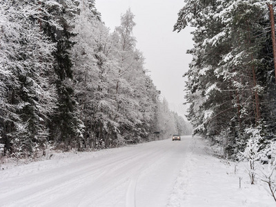 冬林中的公路转弯和迎宾车图片