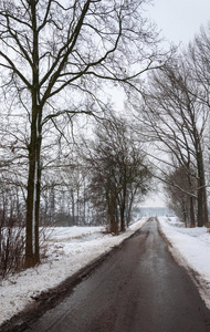 冬雪中安静的柏油路