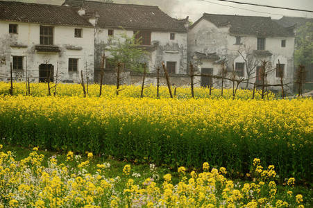 中国最美的村庄图片