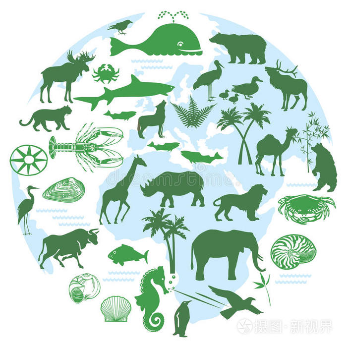 动物与生物多样性