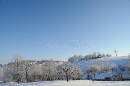 冬季雪景