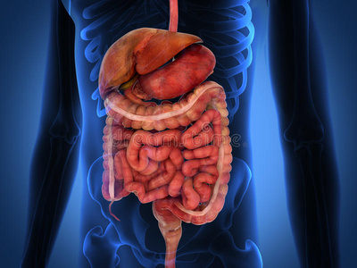 食管反流病或grd治疗病妇女以痛苦和疾病媒介例证腹腔疾病或腹腔疾病