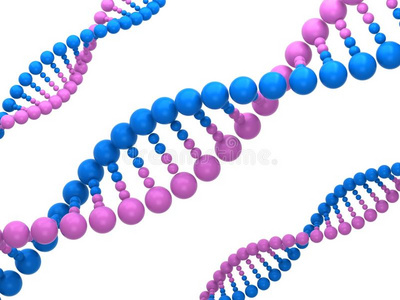 彩色DNA