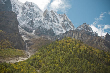 山沟林图片