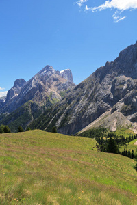 来自加拿大ciampac的marmolada