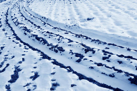 雪地稻田自然风光图片