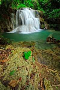 泰国西部热带森林中的瀑布