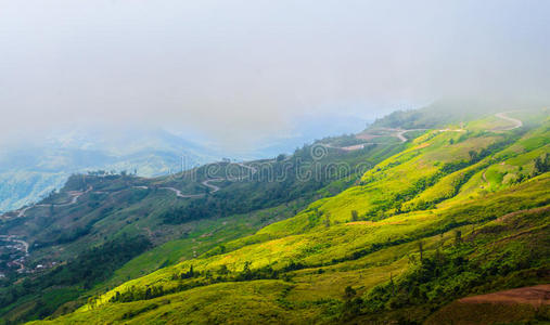 雾中的群山。泰国普图博格风景区