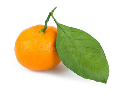 一片带叶的橘子