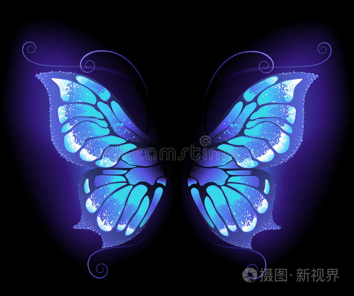 发光的蝴蝶翅膀