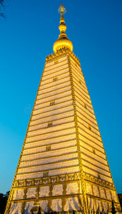 黄金城市图片大全