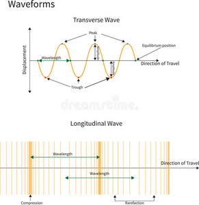 longitudinal wave图片