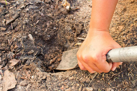 手在用铁锹挖土。