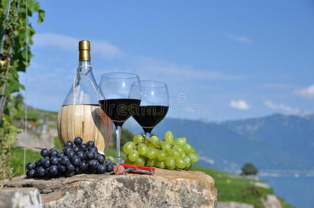 红酒和葡萄