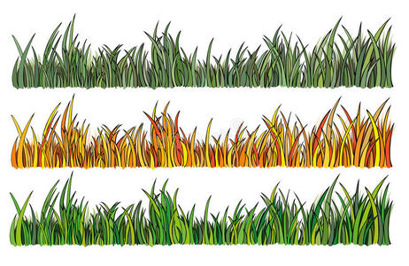 三种不同颜色的草的插图