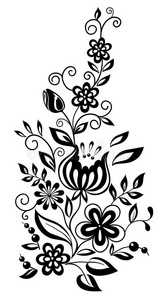 黑白花黑白花和叶子.花卉装饰设计照片