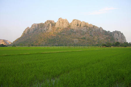 泰国绿色稻田和高山。