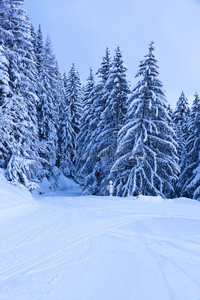 奥地利泽尔山滑雪场