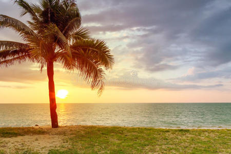 日落时有棕榈树的海滩风景