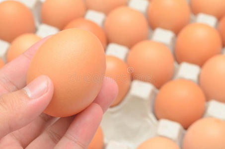 手选盒装鸡蛋