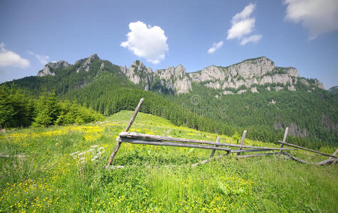 夏季山地景观