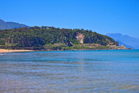 寒武纪岩土壤图片