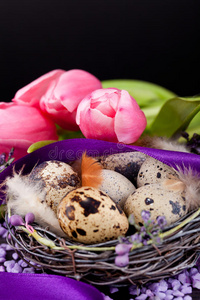 粉红郁金香和棕色彩蛋配紫色彩带复活节装饰