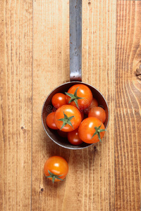 番茄炖锅图片