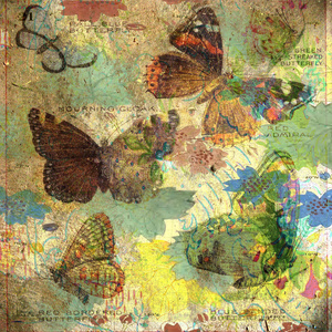 复古蝴蝶拼贴画背景照片