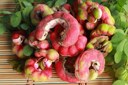 马尼拉罗望子照片