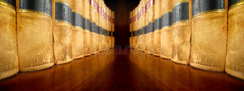 相向摆放在书架上的法律书籍照片