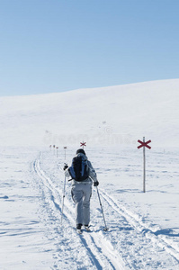 女旅游滑雪者从后面图片