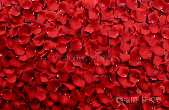 红玫瑰花瓣背景照片 正版商用图片0mlr6f 摄图新视界