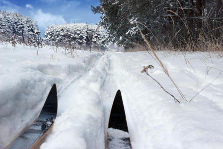 一月在森林空地上的滑雪道