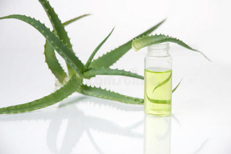 芦荟提取物粉末图片