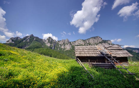 小山 风景 牧场 林间空地 别墅 国家 罗马尼亚 阿尔卑斯山