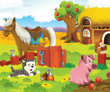 农场里的快乐动物照片