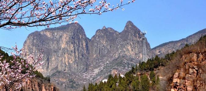 太行山的春天图片