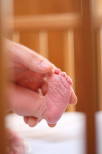婴儿的脚和他父亲的手