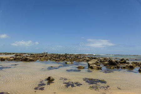 巴西海滩上的礁石图片