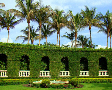 佛罗里达棕榈滩的棕榈树和喷泉花园