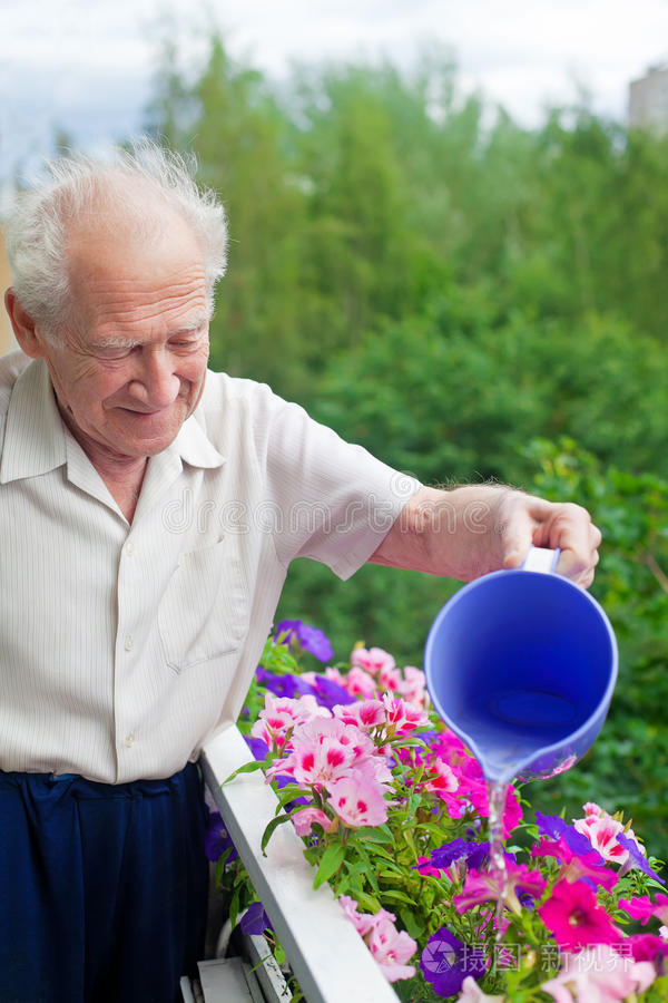 高级园艺师祖母种西红柿在花园里工作的人一只手在地上的特写镜头浓缩