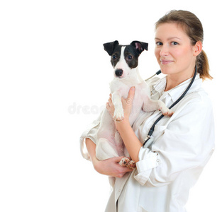 女兽医抱着杰克拉塞尔梗。