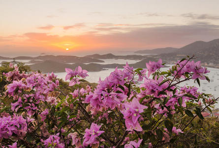 夏洛特阿玛莉圣托马斯日落