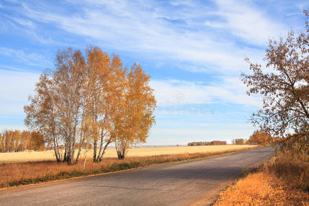 通往田野的路。秋景