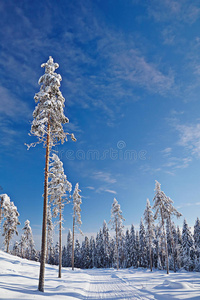 冬季景观中空旷的积雪路面